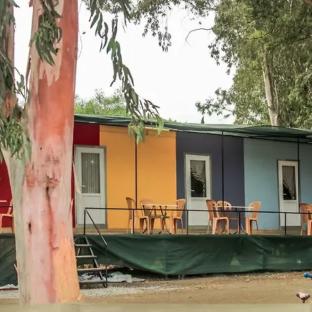 Woody & Hostel Patara