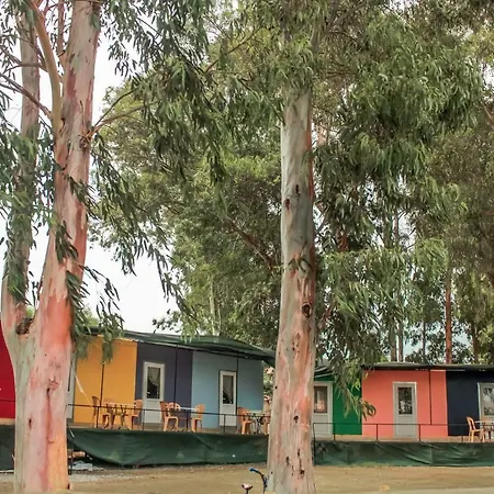 Hostel Woody & *