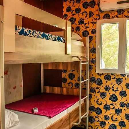 Woody & Hostel *