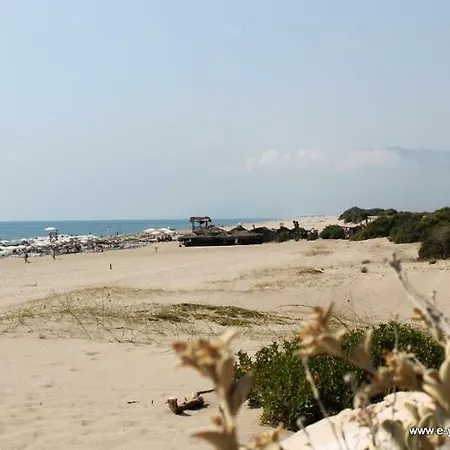 Woody & Hostel Patara